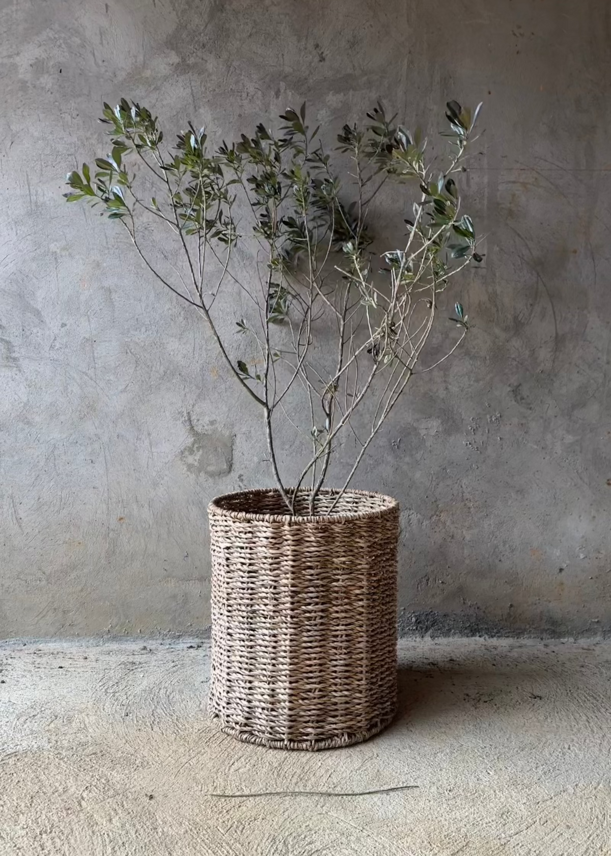 canasto fibra natural