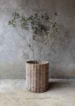 canasto fibra natural