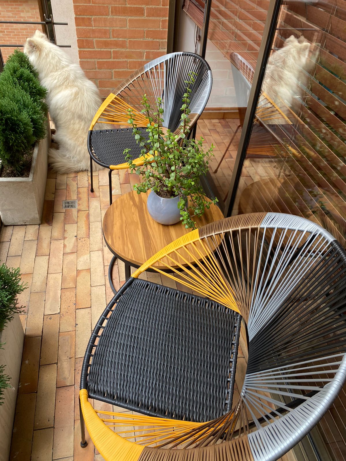 Silla auxiliar Pavo Clásica